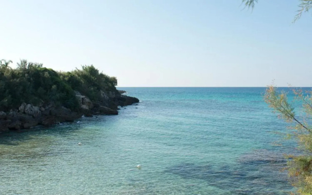 Mon Reve