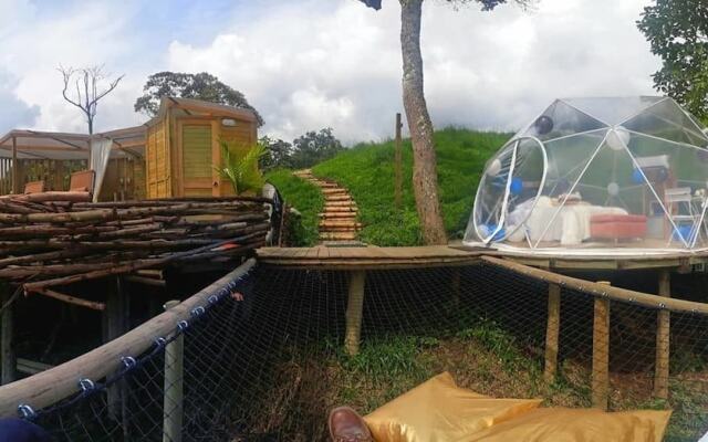 Yuva Glamping