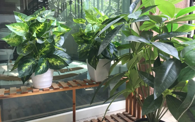 Youcun Apartment Pu Jiang Ming Yuan