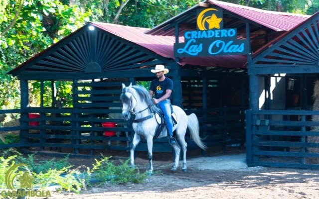 Carambola Surf House