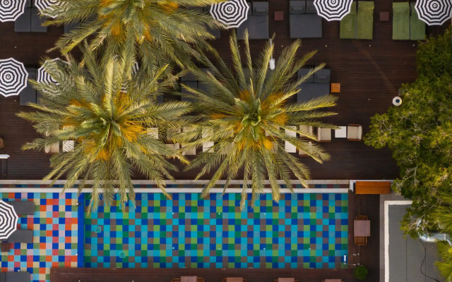 King Jason Paphos - Designed for Adults By Louis Hotels