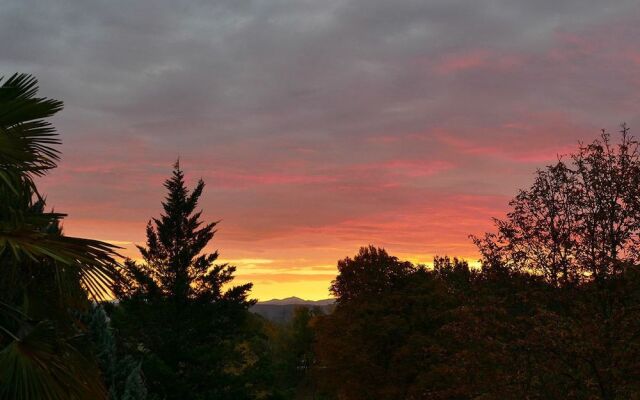 Chambres d'hotes A l'Ombre du Saule