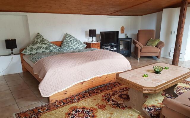 Idyllic studio apartment near Kaifenheim and near the forest