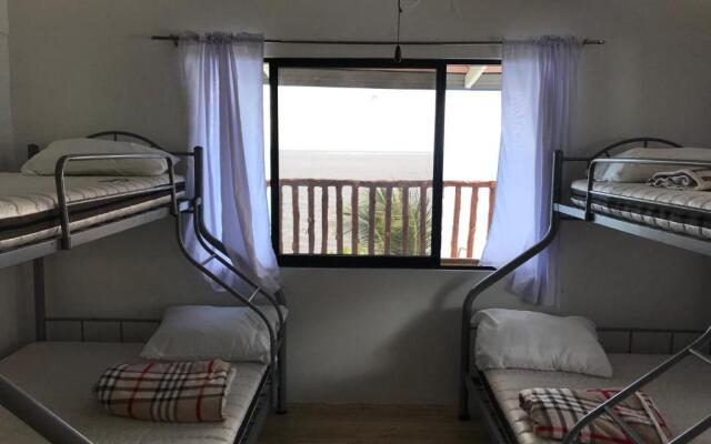 Hostel Lions