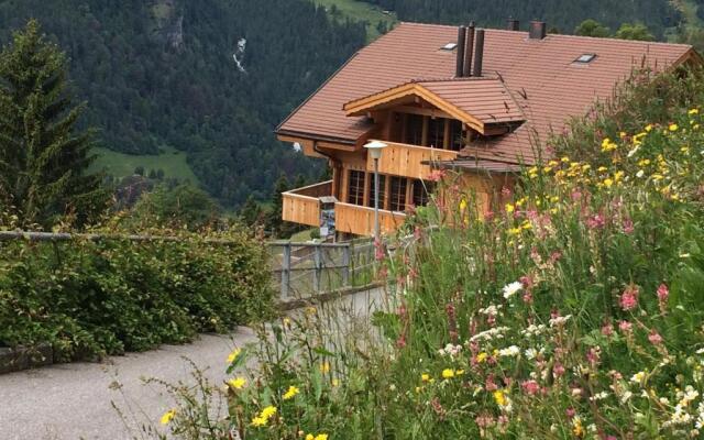 Holiday flat #1, Chalet Aberot, Wengen, Switzerland