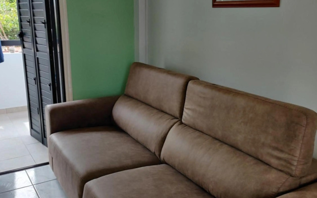 Palm garden paradise