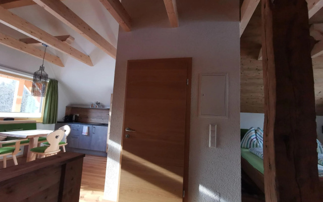 Premium Holiday home in Tauplitz with Sauna