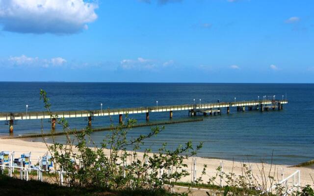 Strandläufer Zempin