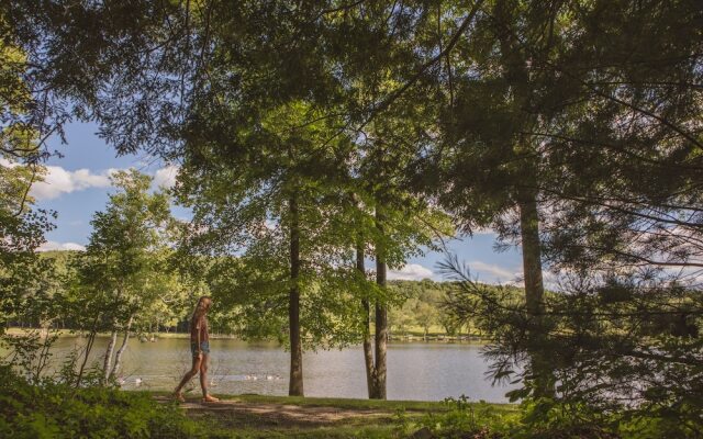 Mountain Springs Lake Resort