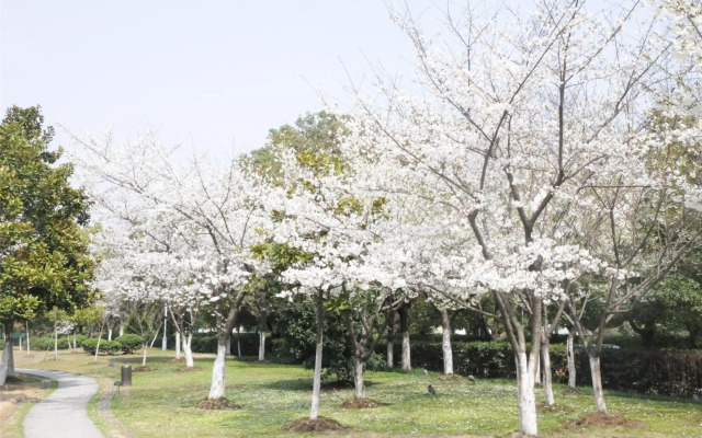 Jinling Resort Nanjing