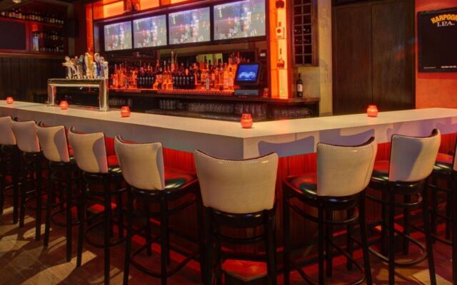 Hotel Indigo Brooklyn