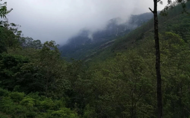 Sinharaja Rainforest View Villas