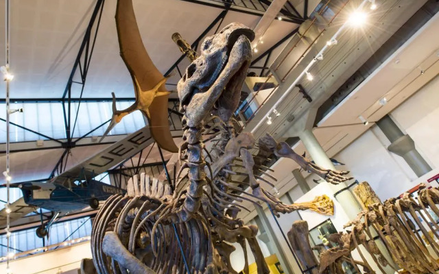 BIG4 Launceston Holiday Park