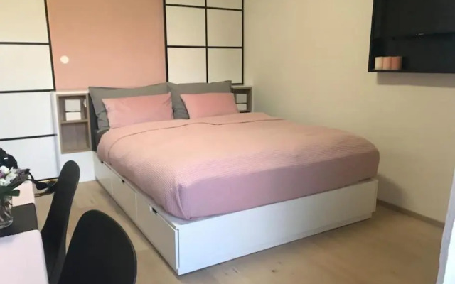 Sunny home with cute dragon in the center+parking