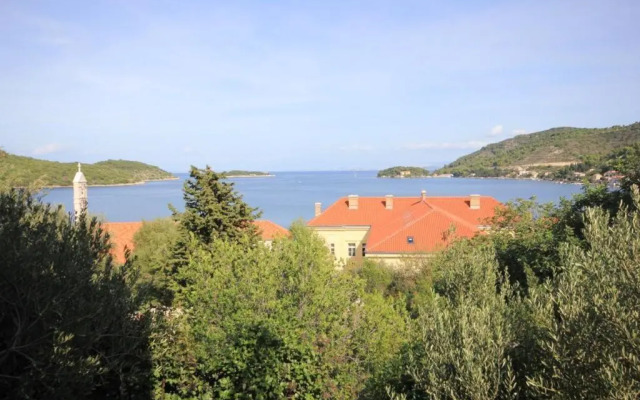 Apartments by the sea Vis - 2470