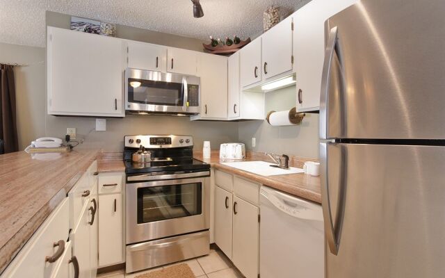 Storm Meadows East Slopeside - SE056