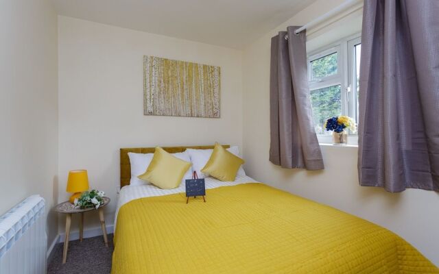 Luxury Burgess Apartments