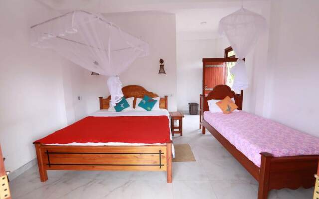 Yoho Cloud Castle Homestay