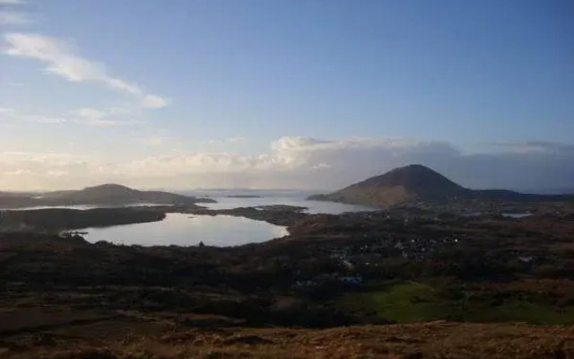 Cloverfox Connemara
