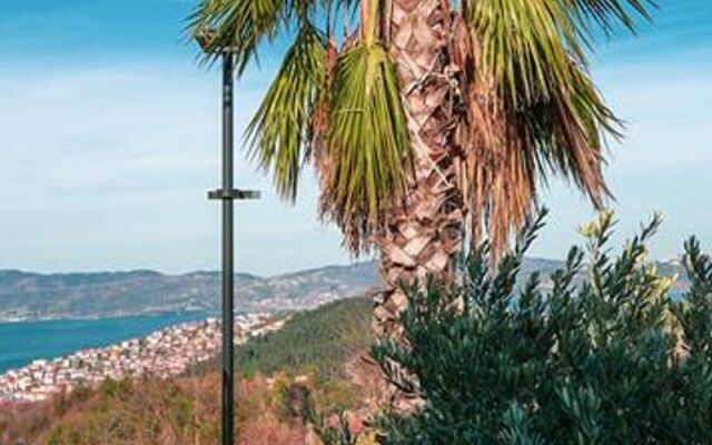 9 İnci Villaları Sapanca