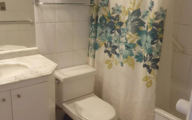 Costanera Center Departamento 2 ambientes. Providencia