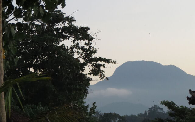 Aashaya Jasri Resort