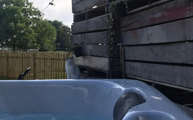 Tussen de paarden @ De Hoeveschuur