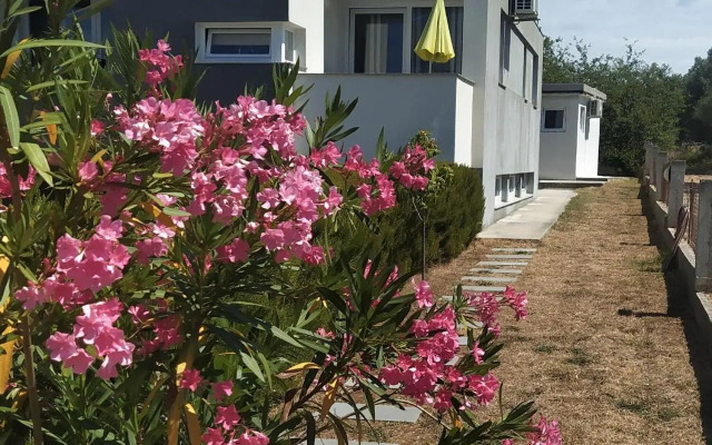 Apartments Dora Bibinje, 50 m from the sea