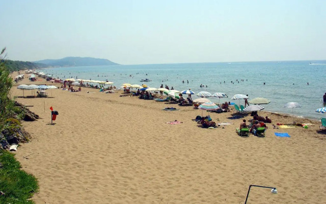 Golden Sands