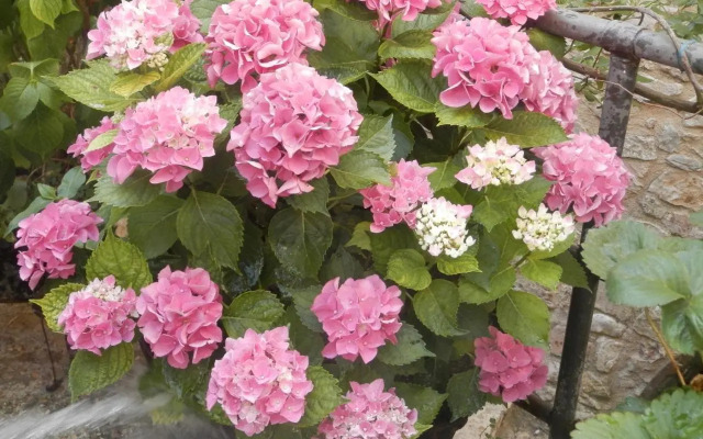 Residenza di Paese Castello del Poggio