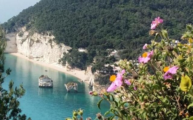 Casa Dante Bed&Breakfast