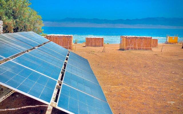 Lala Land Camp Sinai