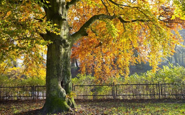 Seaside Apartamenty - 4 Pory Roku