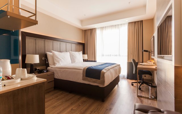 Holiday Inn Kayseri - Duvenonu, an IHG Hotel