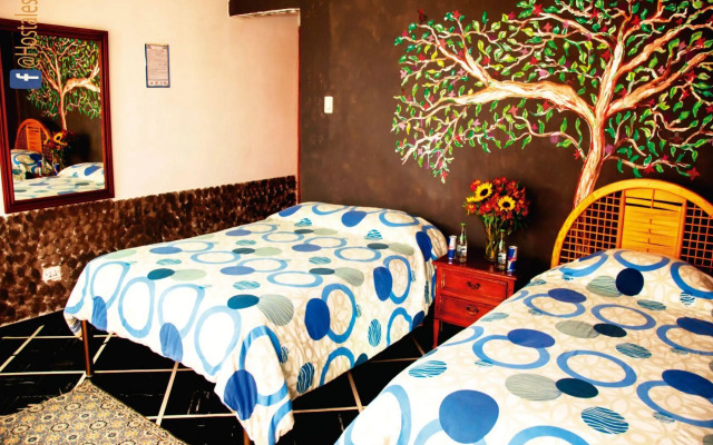 Hostal Isla Isabela