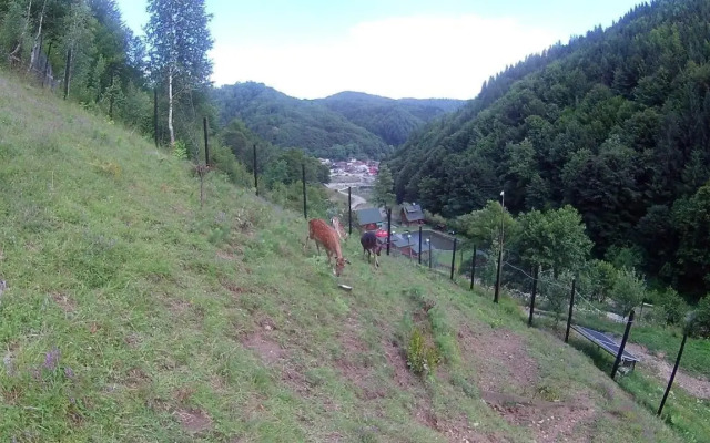 Pastravaria Romani
