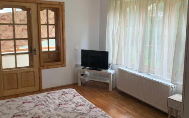 Vila Busteni DORA, locatie superba strada Grivitei 36