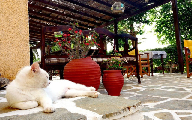 Vagia Traditional Hotel