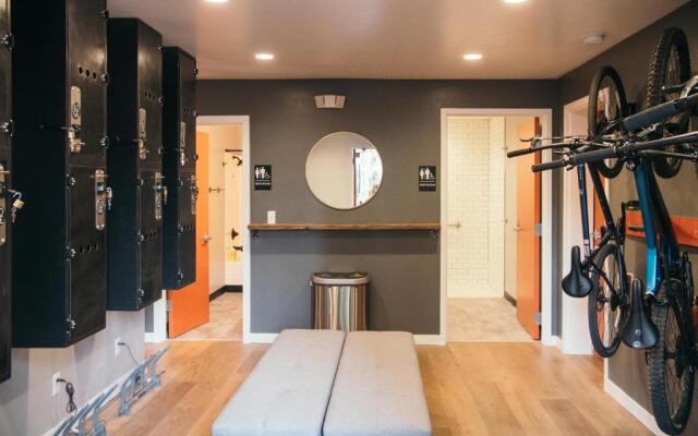 LOGE Bend