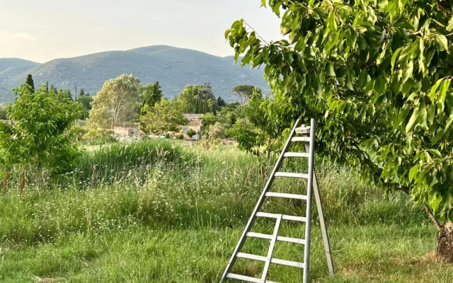 Camillette 2. Cabanon charmant face au Luberon.