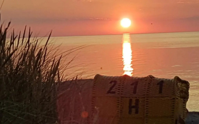 Strandläufer-G13