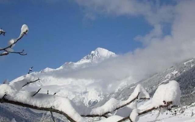Appartement Le Pied de Piste