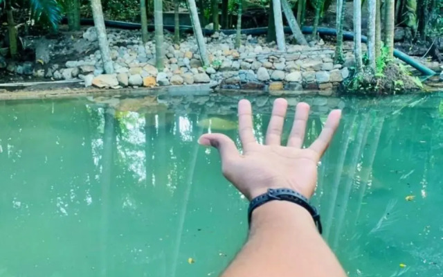 Ella Nature Park