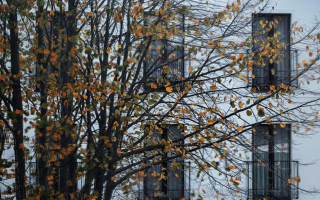 Jono Kalnelis Apartments