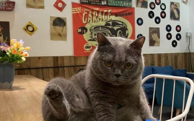 silver yard (Qixingyan Xinghu Yanqian Store)