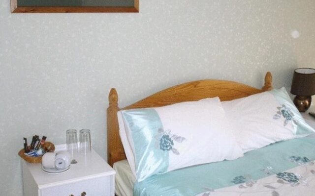 Brown Trout Hotel