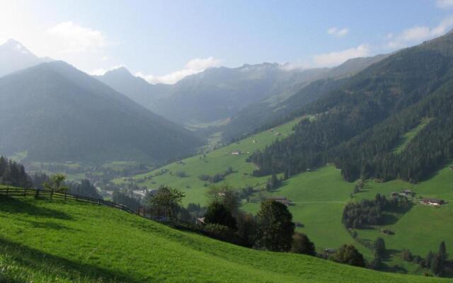 Alpbach Bergwald