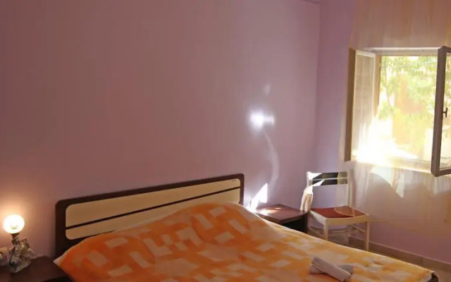 Apartment Radnic 107