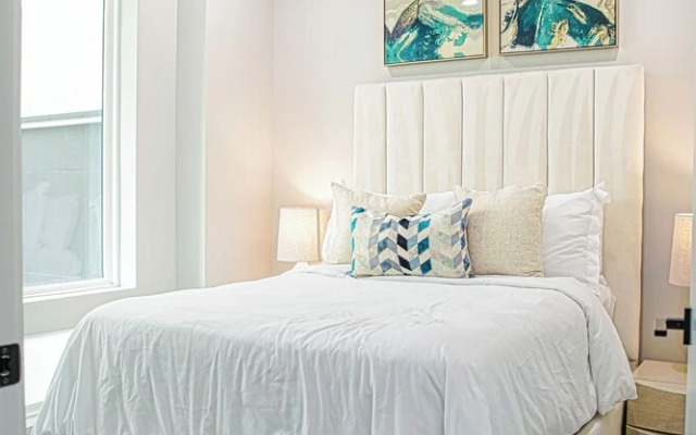 Luxury 3BD Rooftop Home in Dwtwn HTX.