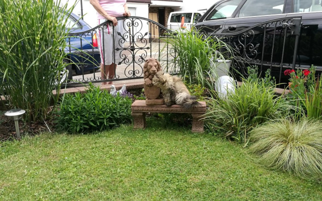 Ferienwohnung Adelsberg